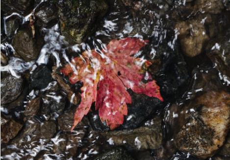 水質(zhì)在線監(jiān)測常見的水污染指標有哪些？